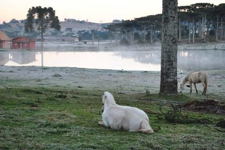 Refugio Do Lago Hotel Lages Bagian luar foto